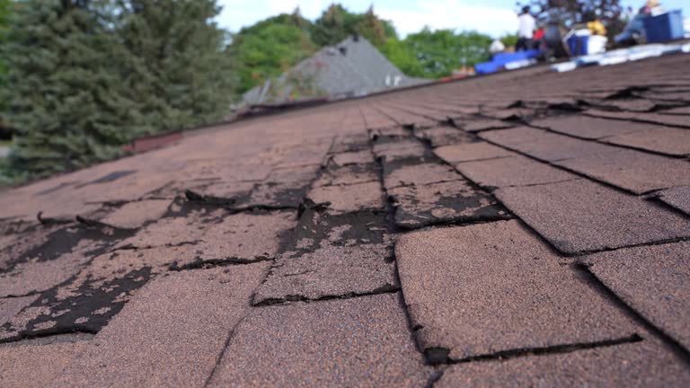Best Roofing for New Construction  in Alliance, OH